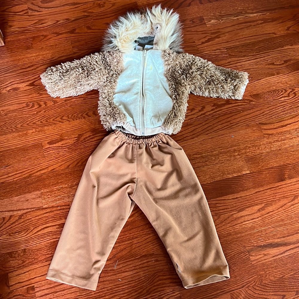 Lion Halloween Costume